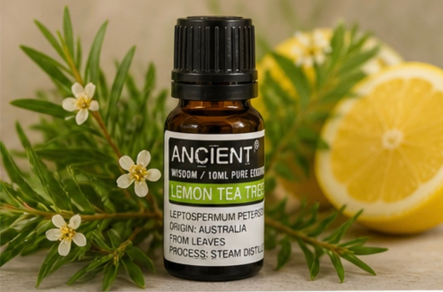 Ätherische Duftöle 10 ml – Naturöle in verschiedenen Sorten