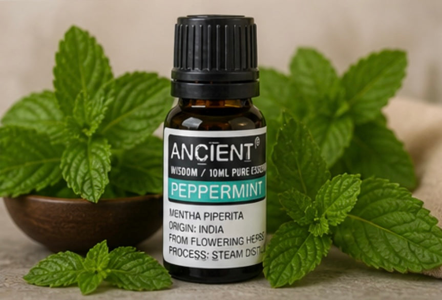 Ätherische Duftöle 10 ml – Naturöle in verschiedenen Sorten