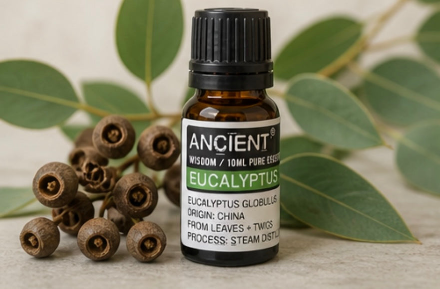 Ätherische Duftöle 10 ml – Naturöle in verschiedenen Sorten