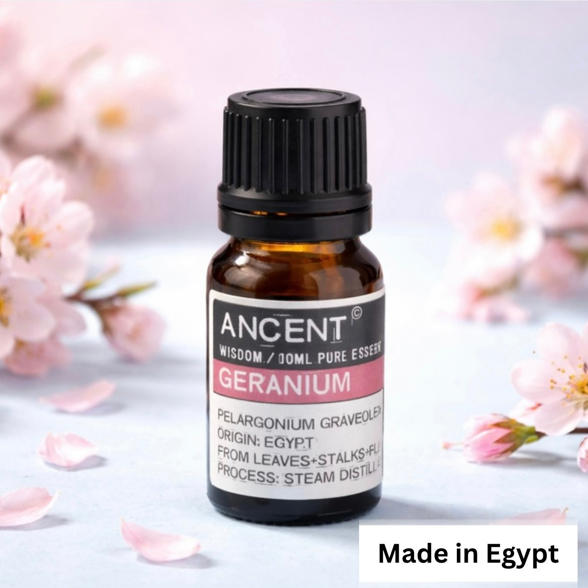 Ätherische Duftöle 10 ml – Naturöle in verschiedenen Sorten
